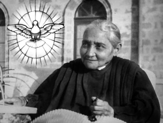Louisa Piccaretta