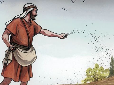 Parable of the Sower